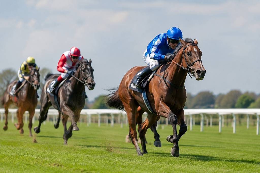 New horse racing betting sites: my guide to finding the best platforms